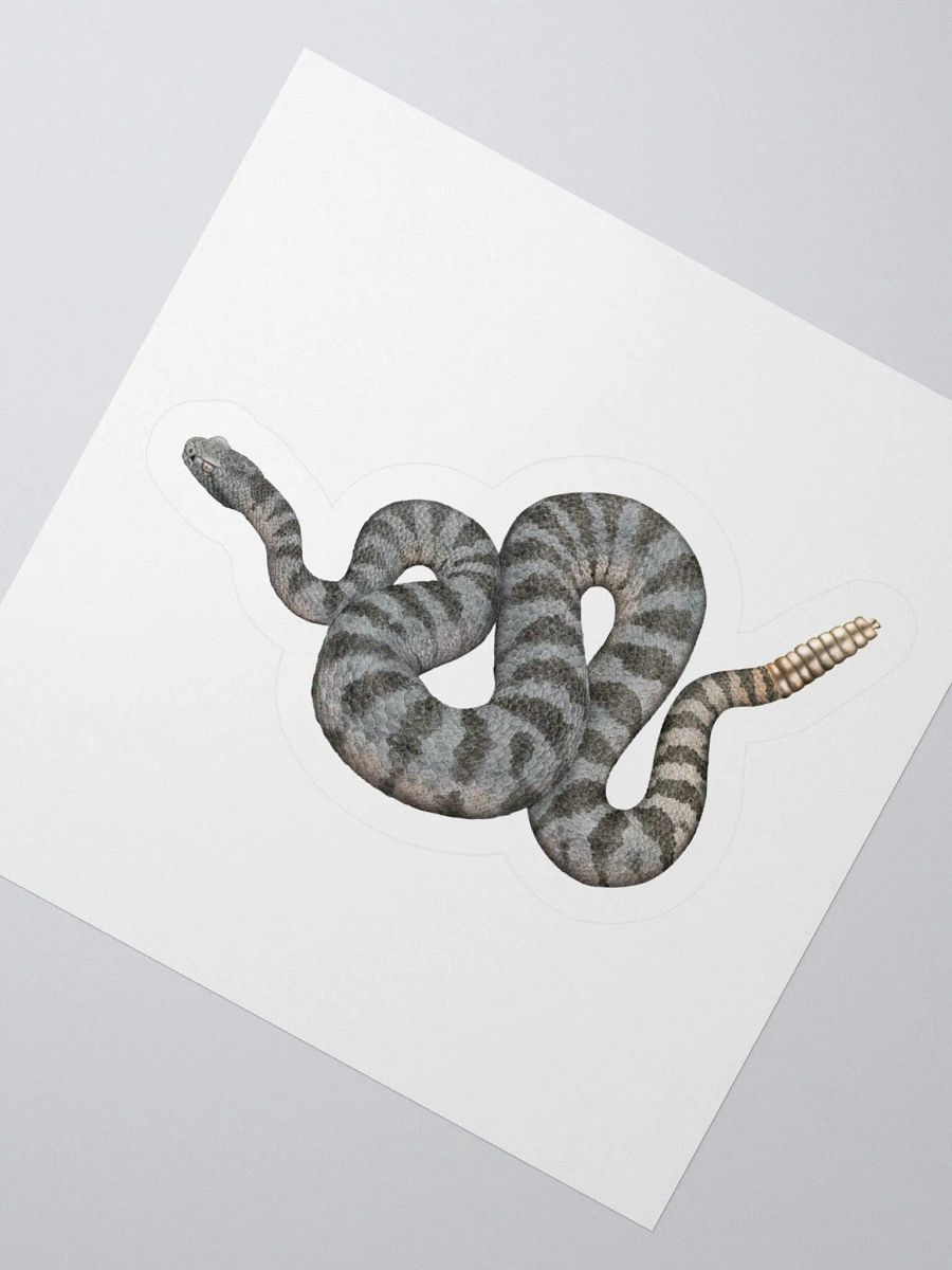 Die-Cut Sticker – Tiger Rattlesnake product image (2)