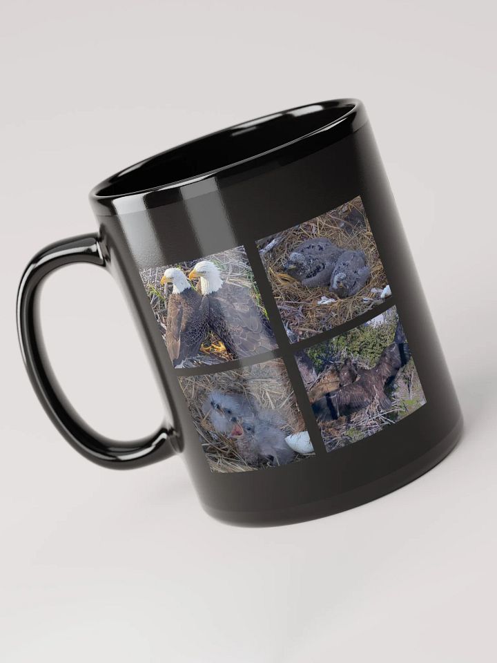 Moments | Black Mug | Captiva Eagle Cam 2024-2025 product image (1)