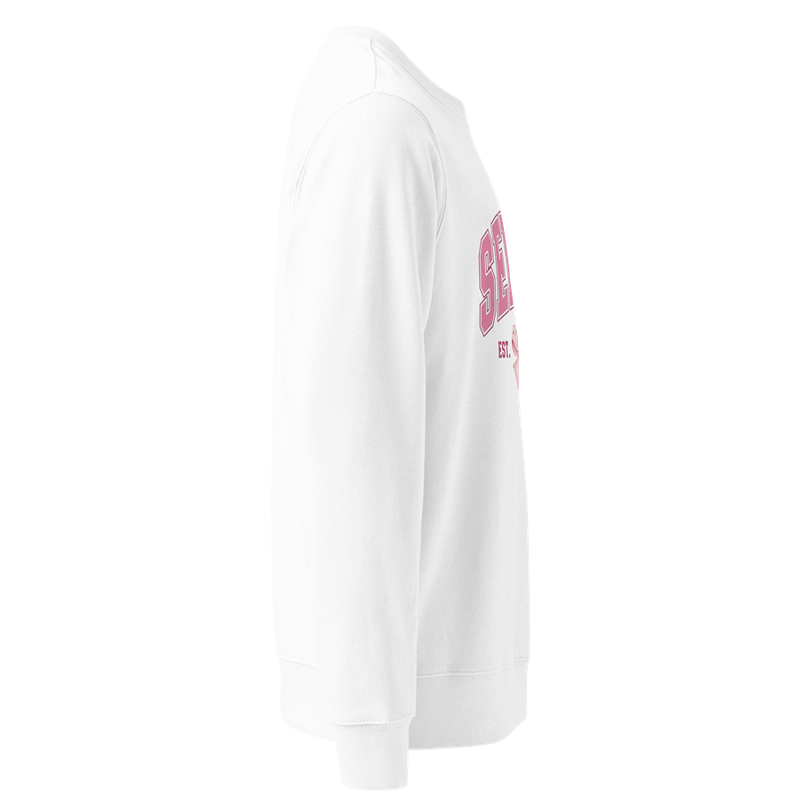 Senior Class 2025 Pink Bow Sweatshirt product image (4)