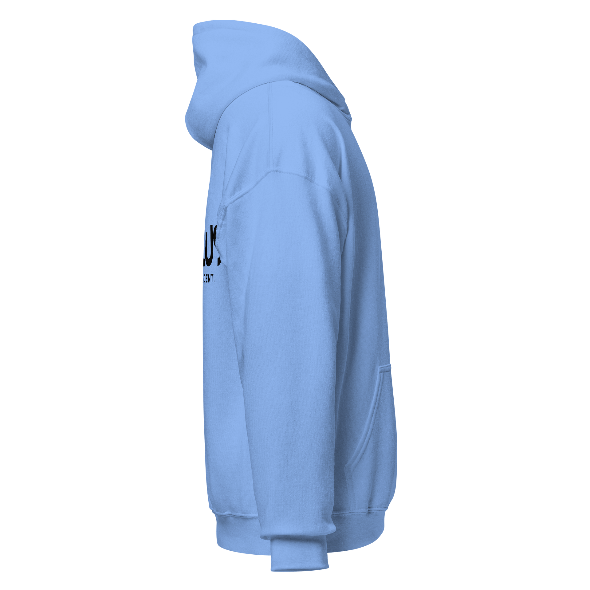 Gallus Hoodies - Embroidery Minimalistic product image (4)