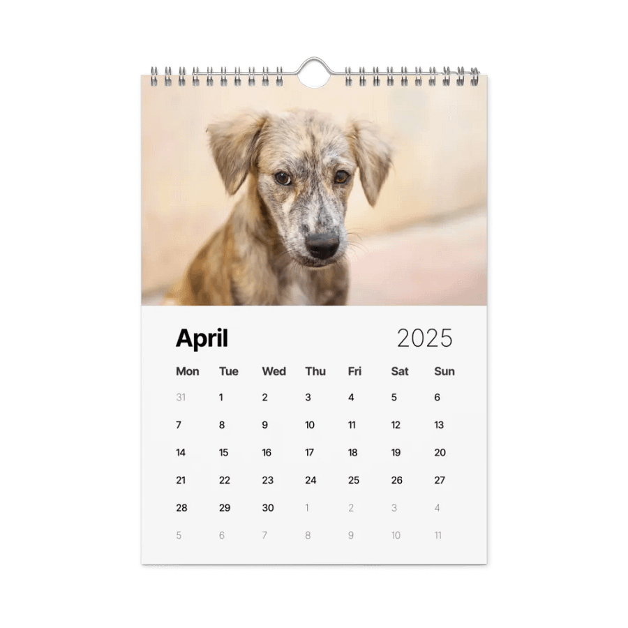 The first year - 2025 Calendar product image (5)