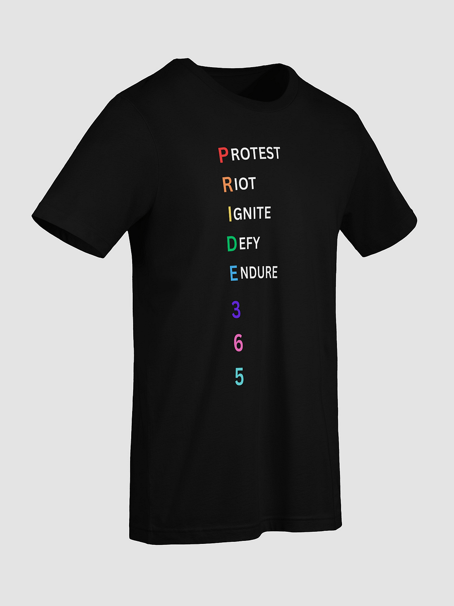 Pride 365 (protest, riot, ignite, endure) Tee product image (50)