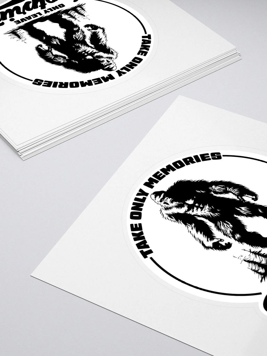 Take Memories Leave Footprints Funny Hiking Sticker product image (11)