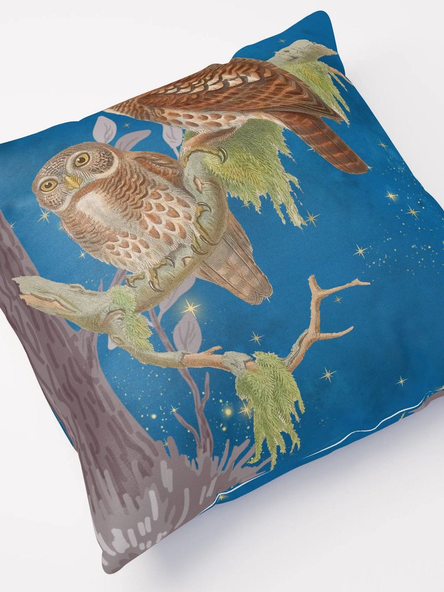 Night Owls product image (7)