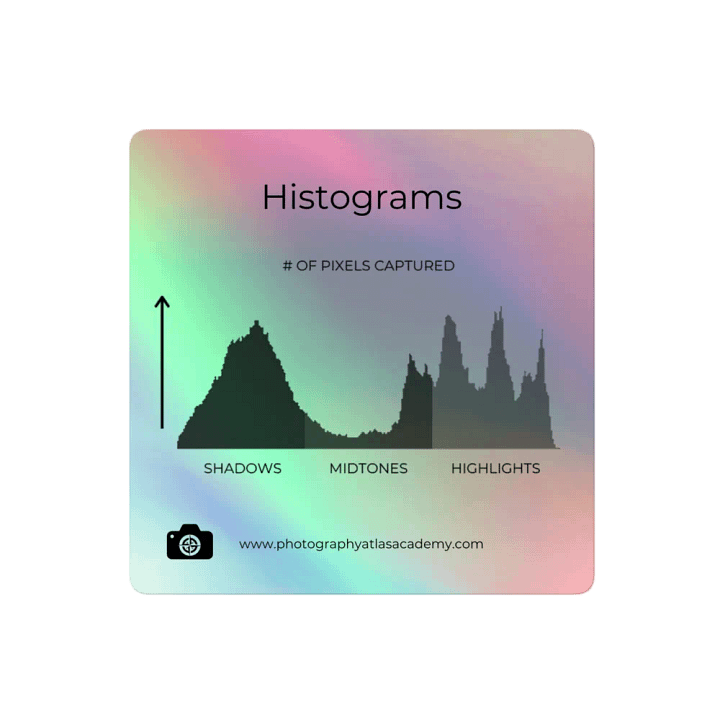 Histogram Chart Holo Sticker product image (2)