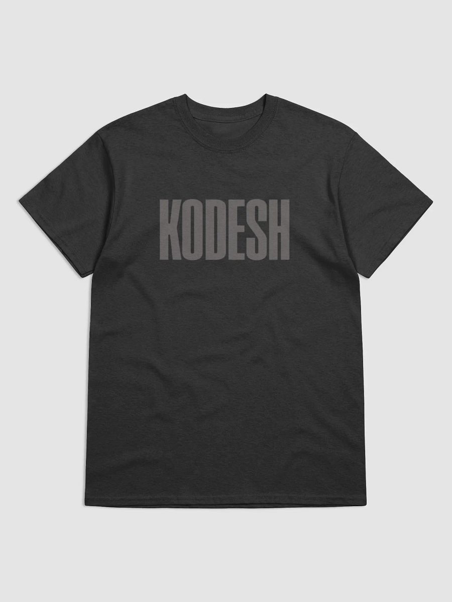 Kodesh (grey) T shirt product image (5)