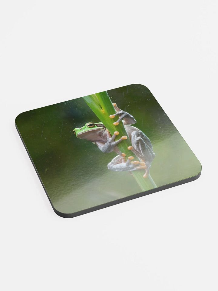 Tree Frog Coaster product image (2)