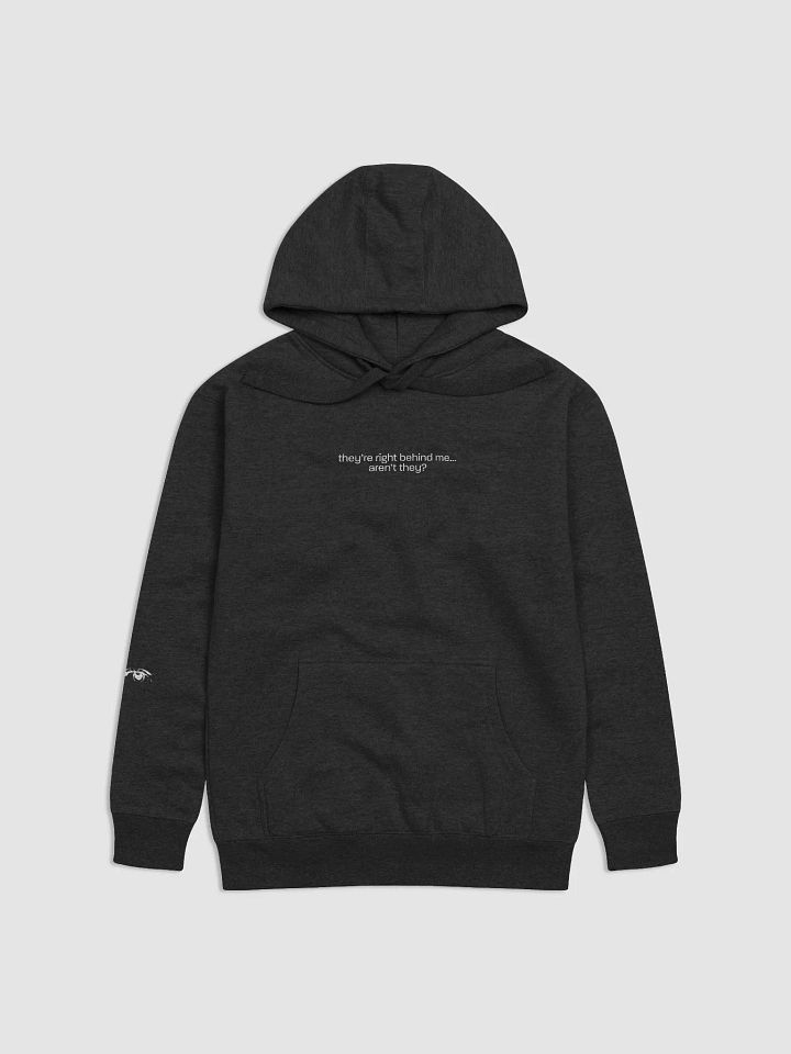 they're right behind me... aren't they? Hoodie product image (1)