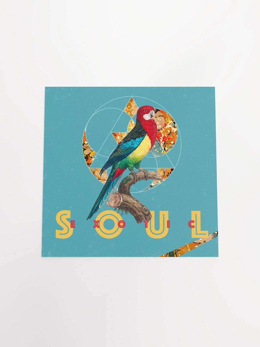 Vibrant Parrot Perch Poster product image (19)