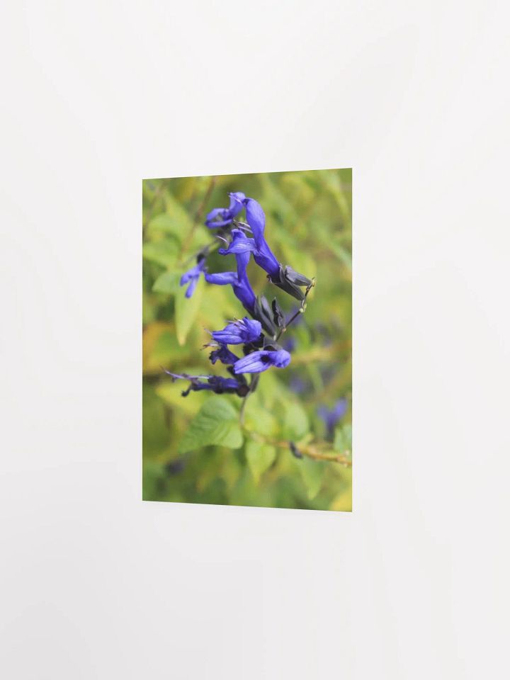 A Study in Flowers 3 product image (20)