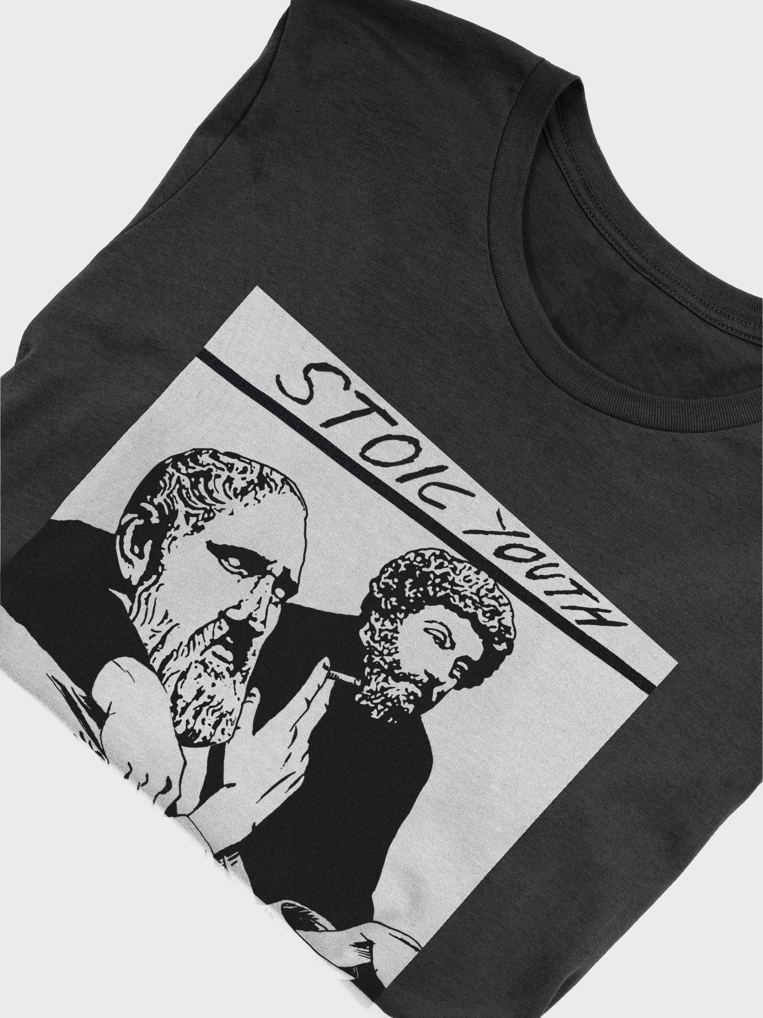 Stoic Youth Bella+Canvas Supersoft T-Shirt product image (5)