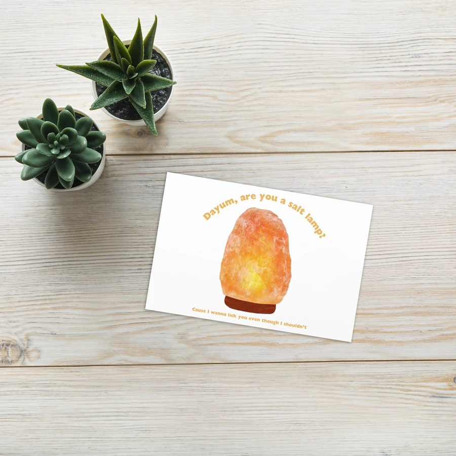 Post card - Are you a salt lamp? product image (7)