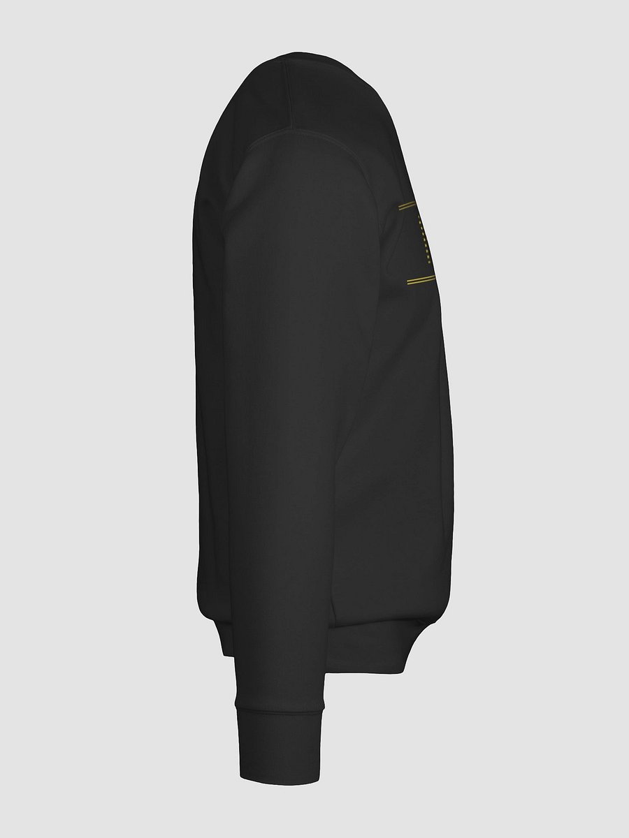 Retro 1993 Premium Sweatshirt product image (12)