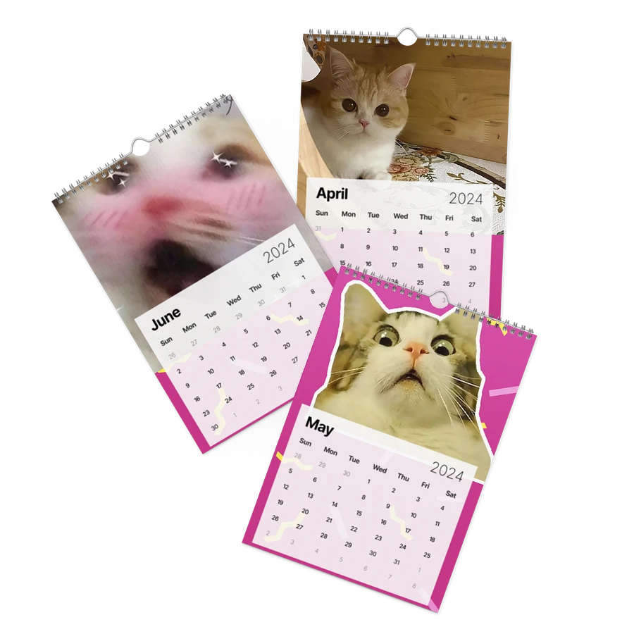 Wall Calendar (2024): Meme Cats product image (3)