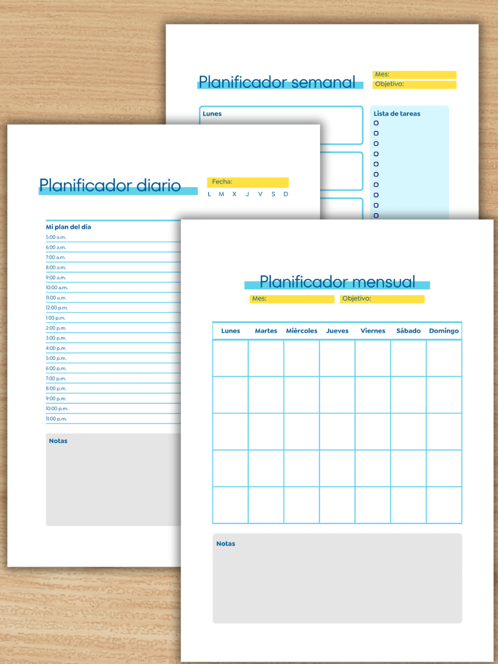 Constantes Vitales para TCAE + 3 Planificadores de Estudio product image (5)