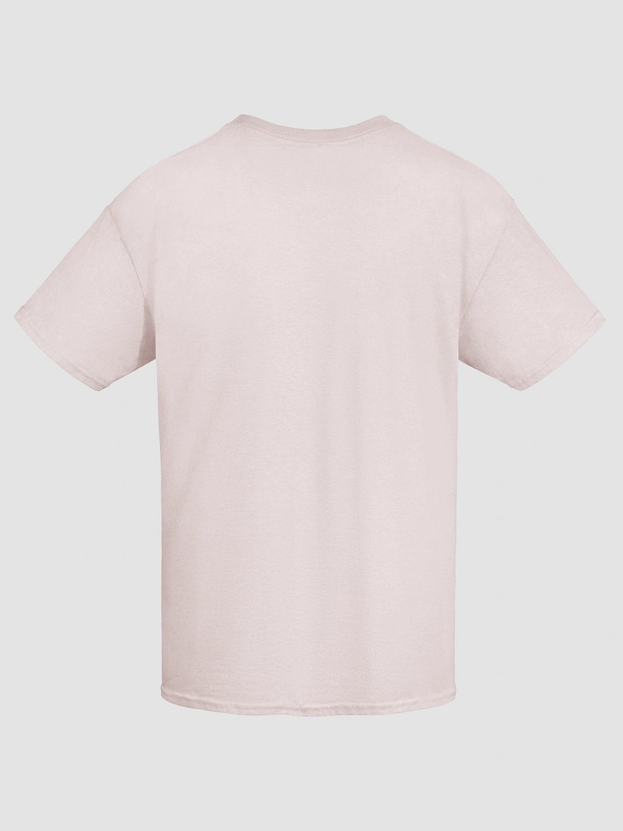 Healthy Wealthy Vegetarian & Vegan T-Shirt product image (9)