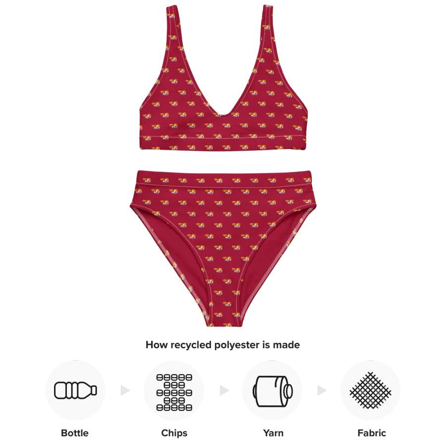 MSLA Red High Waisted Bikini product image (8)