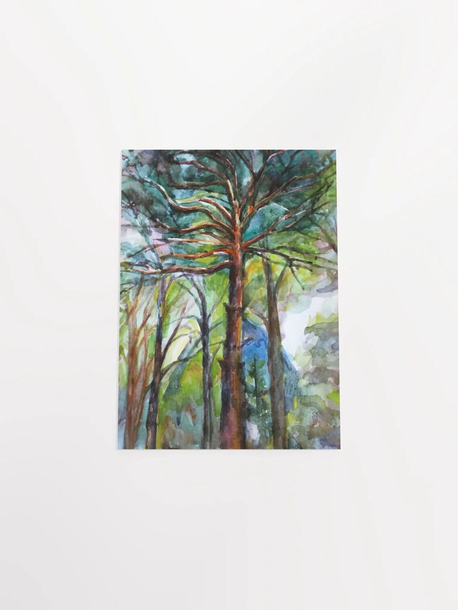 Enchanted Forest Watercolor Poster - Dacha Pine product image (7)