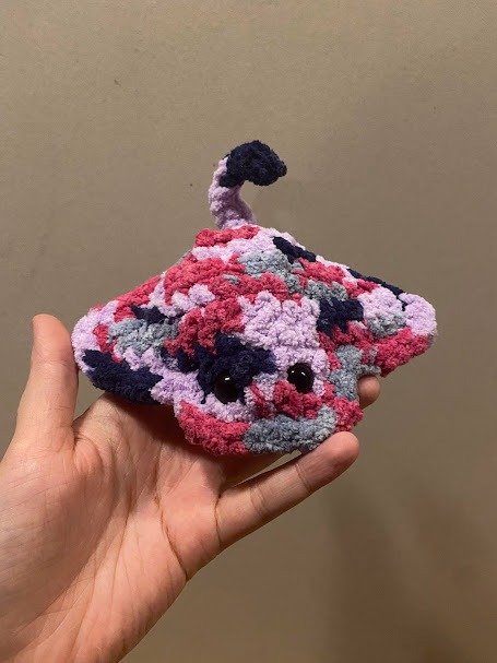 Manta Ray product image (5)