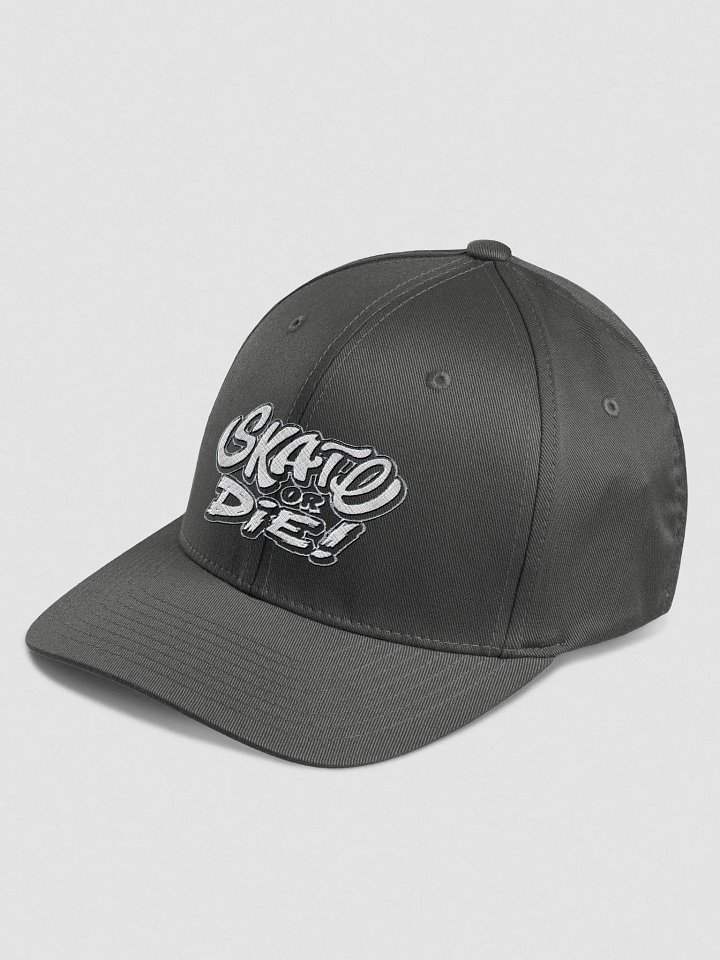 Skate Or Die! Fitted Hat (reverse) Women's product image (9)