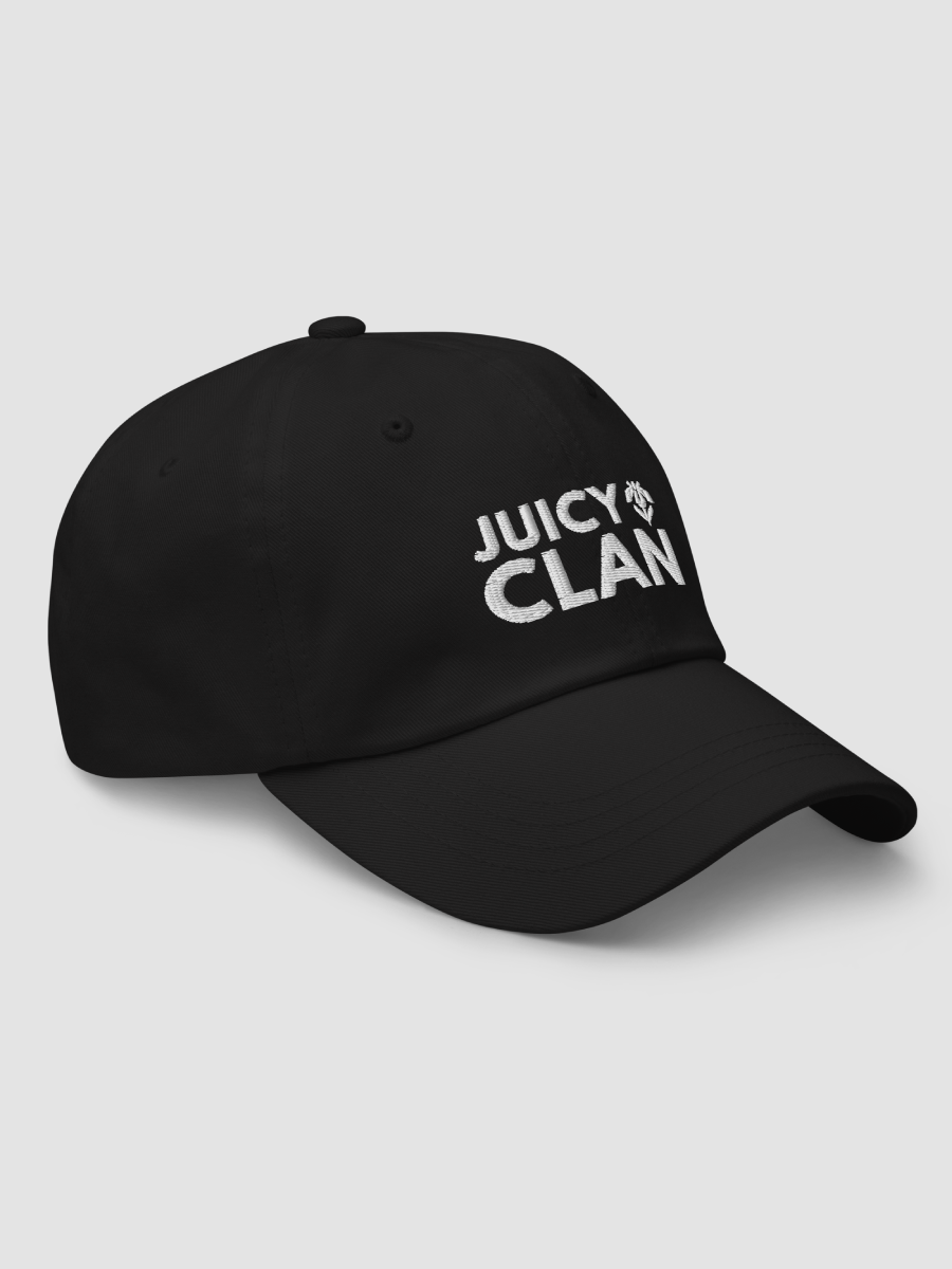 Embroidered Dad Hat - JUICY CLAN product image (3)