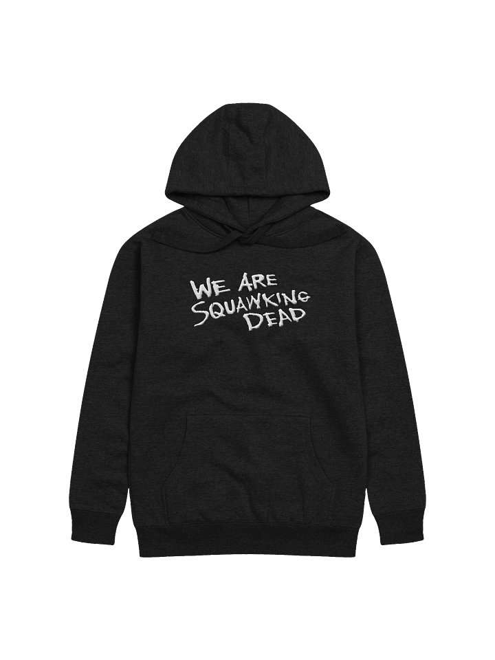 Classic Logo |Embroidered Hoodie product image (1)