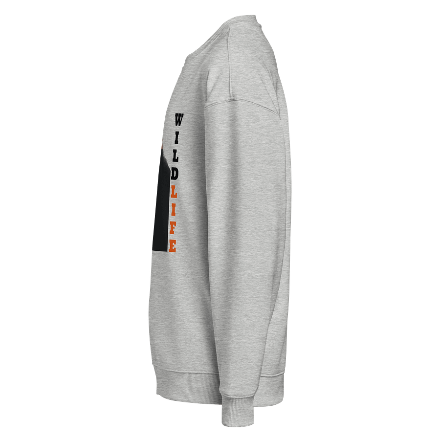 Sunset Lion Organic Sweatshirt product image (4)