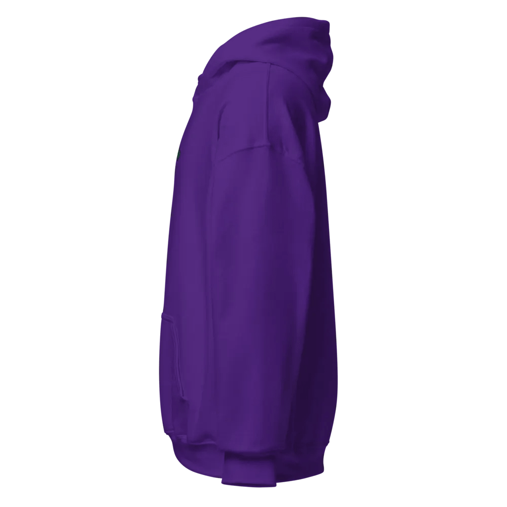 Oulaw of The Galaxy Hoodie product image (39)