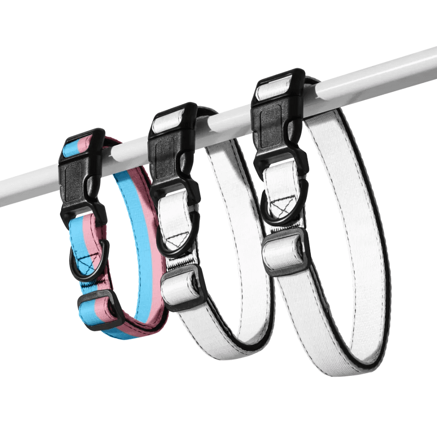 Trans Pride Pup Collar product image (7)