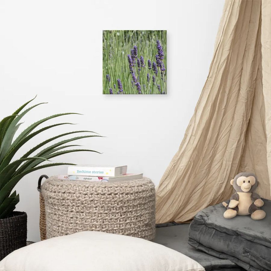 Field of Lavender product image (7)
