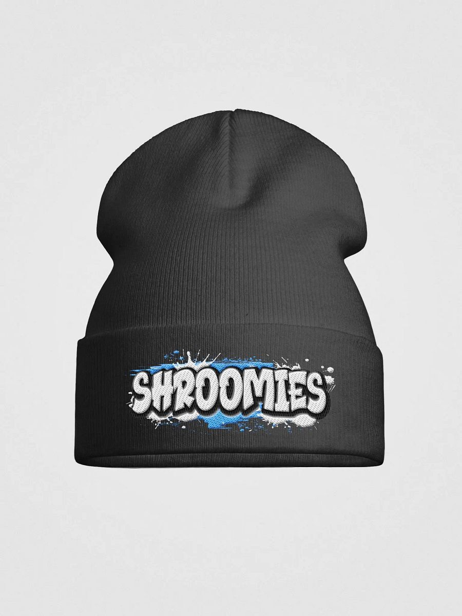Beanie product image (1)