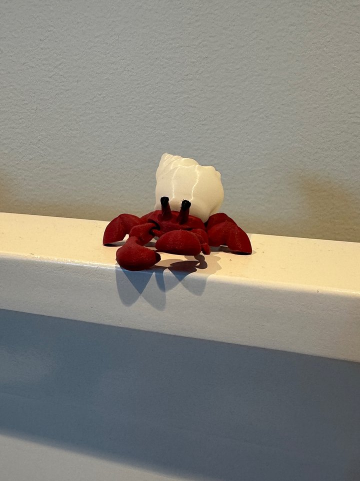 Happy Hermit Crab product image (2)