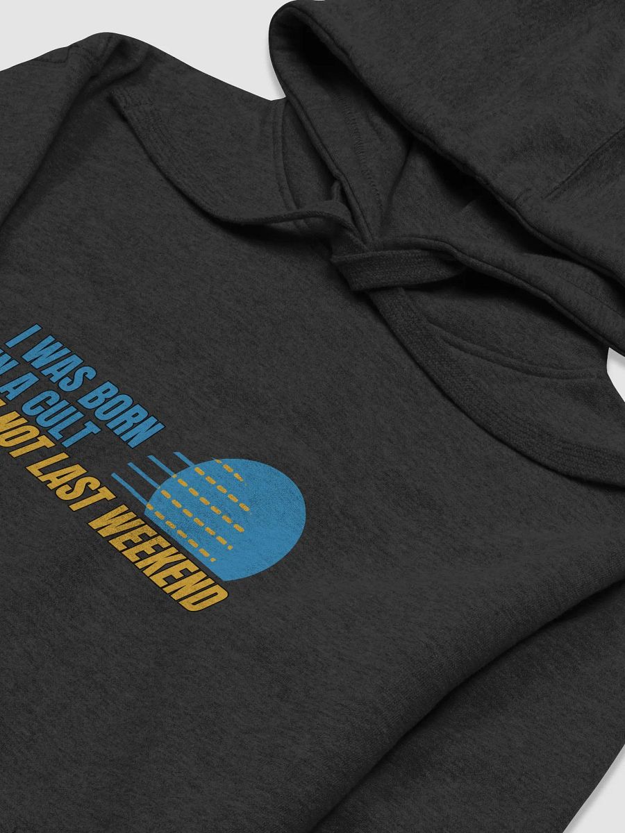 Born In A Cult Unisex Premium Hoodie product image (32)
