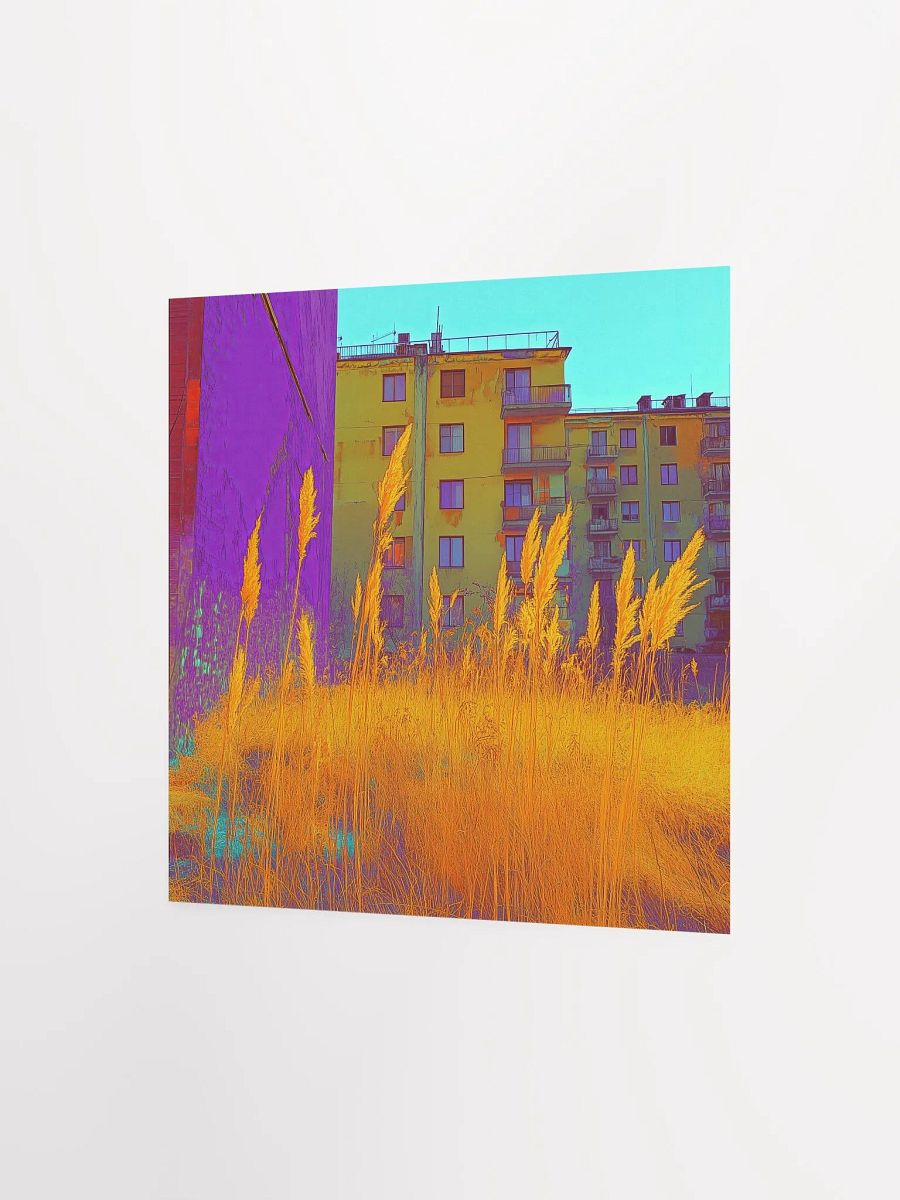 The Backyard product image (6)