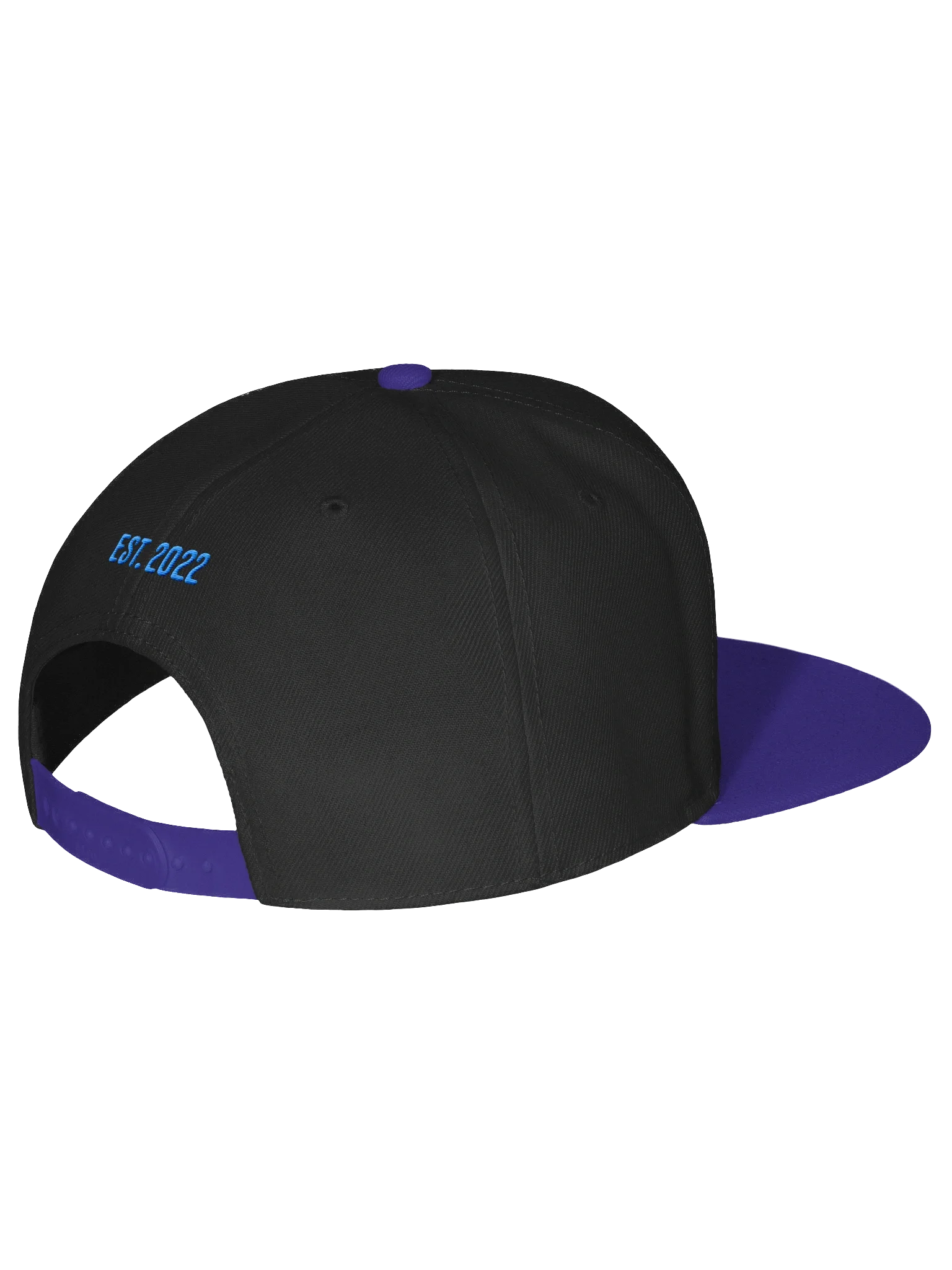 Blueprint Cap product image (3)