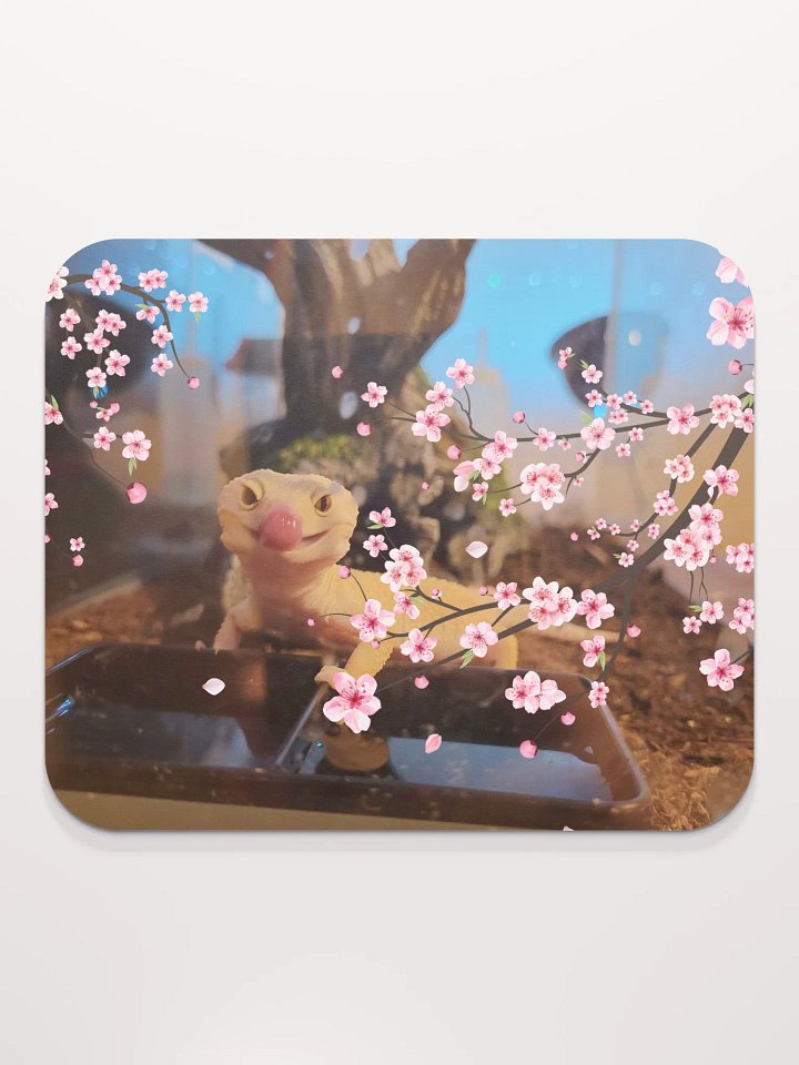 BlepyEva product image (2)