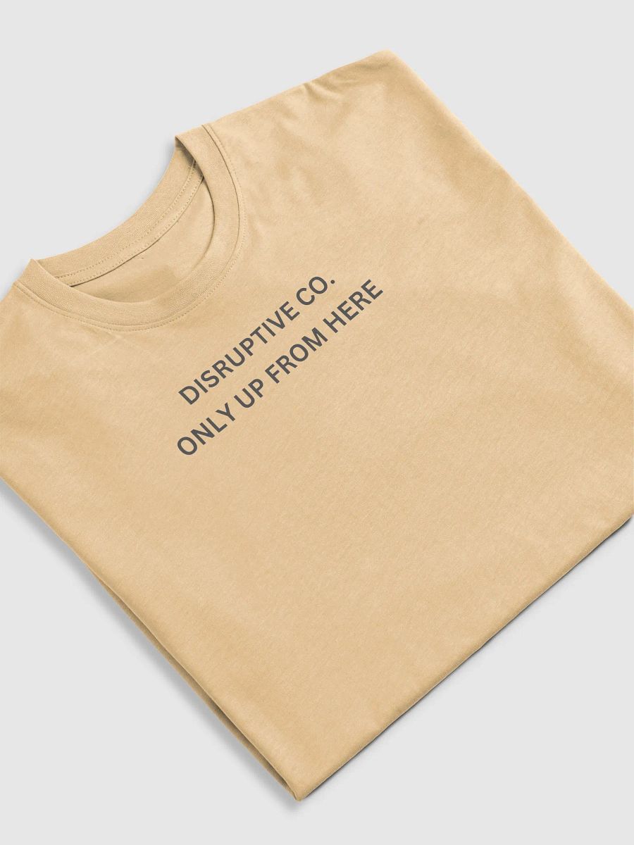 NEVER COMING DOWN product image (25)
