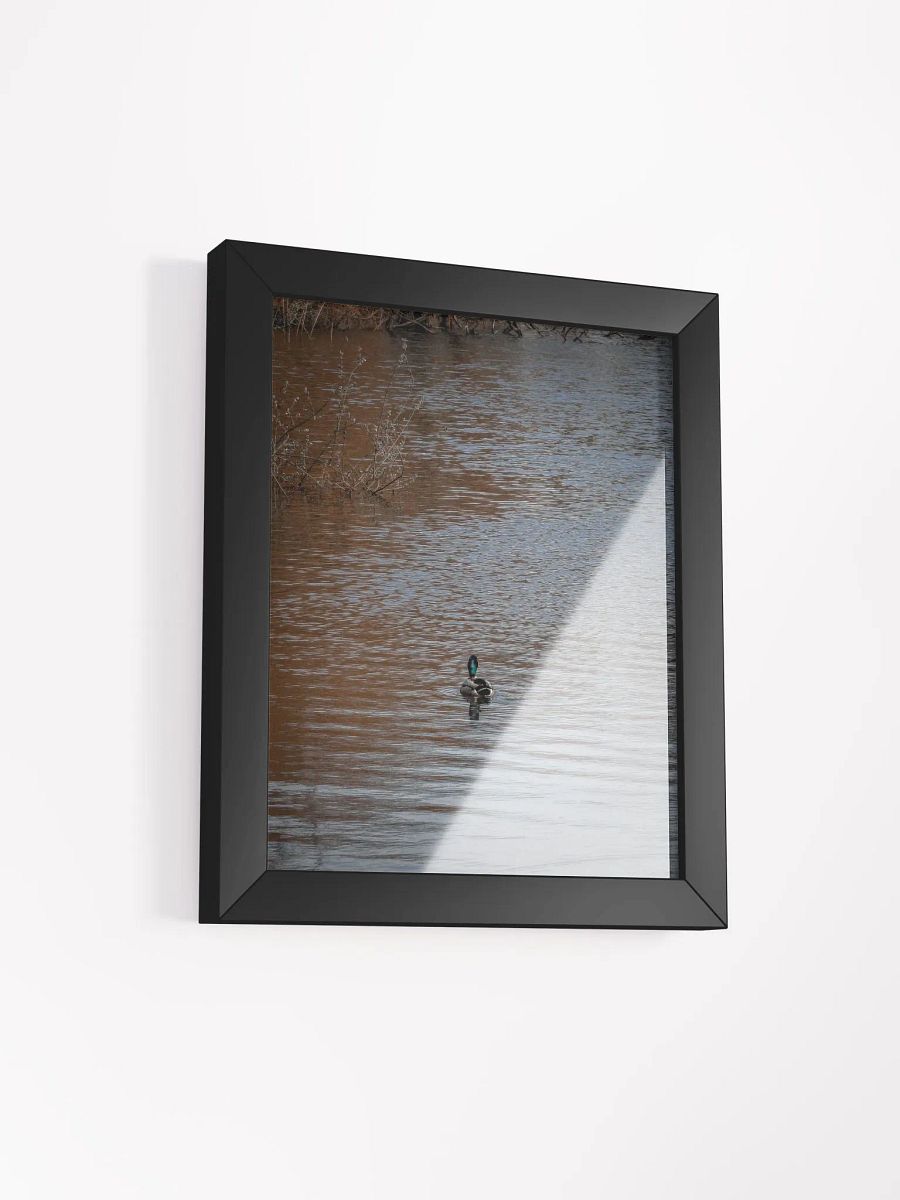 Duck Canvas product image (73)