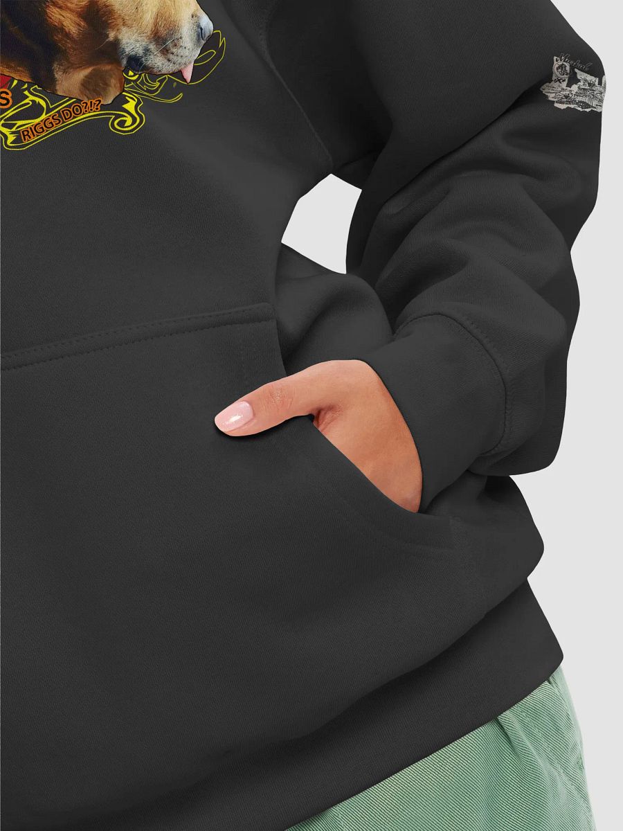 FLY PHIOLOSOPHY / WANDER LORD (pull-over hoodie) product image (8)