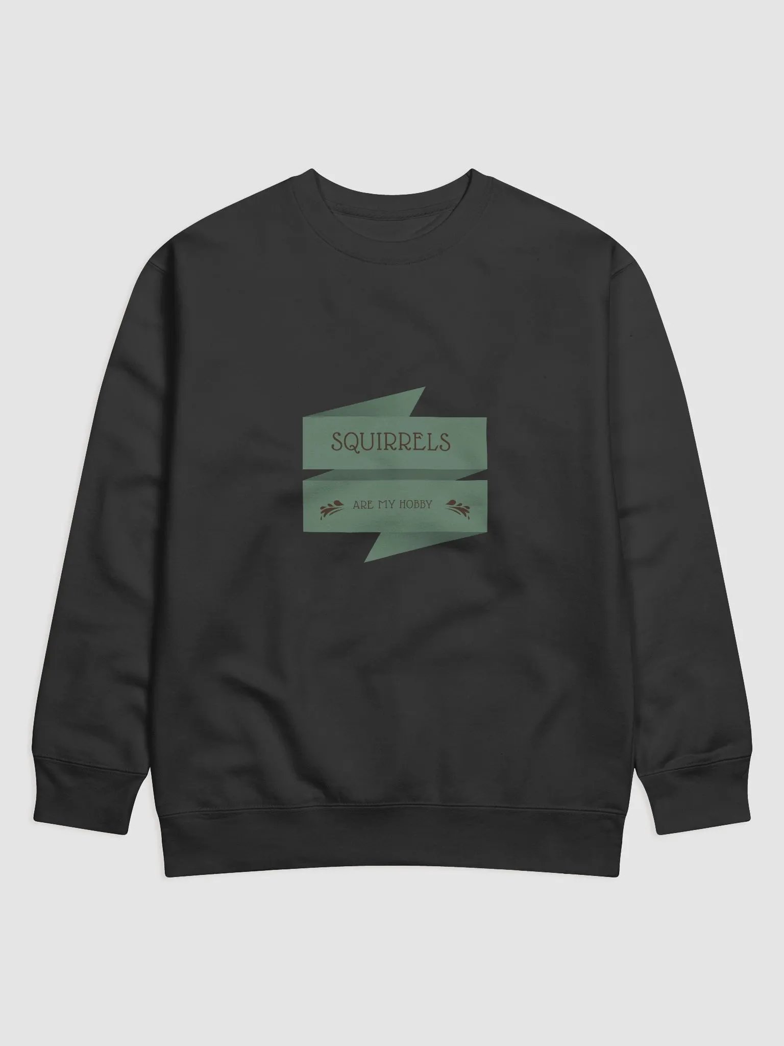 SQUIRRELS ARE MY HOBBY Premium Sweatshirt product image (1)