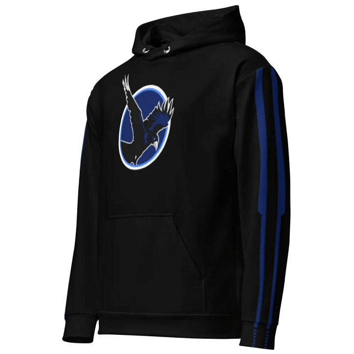 V.I.H (Very Important Hoodie) product image (2)