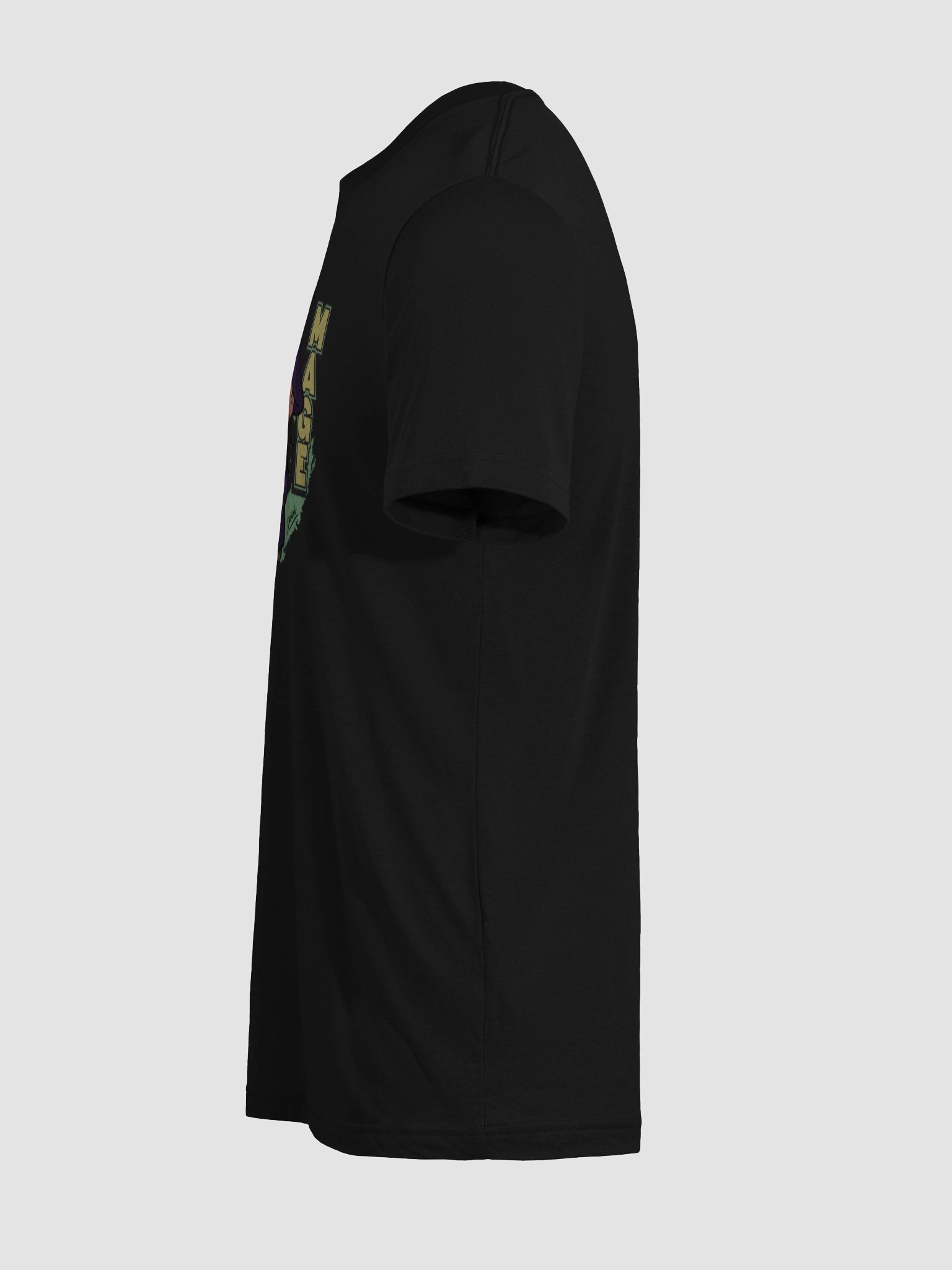 The Mage (Triblend T-Shirt) product image (96)