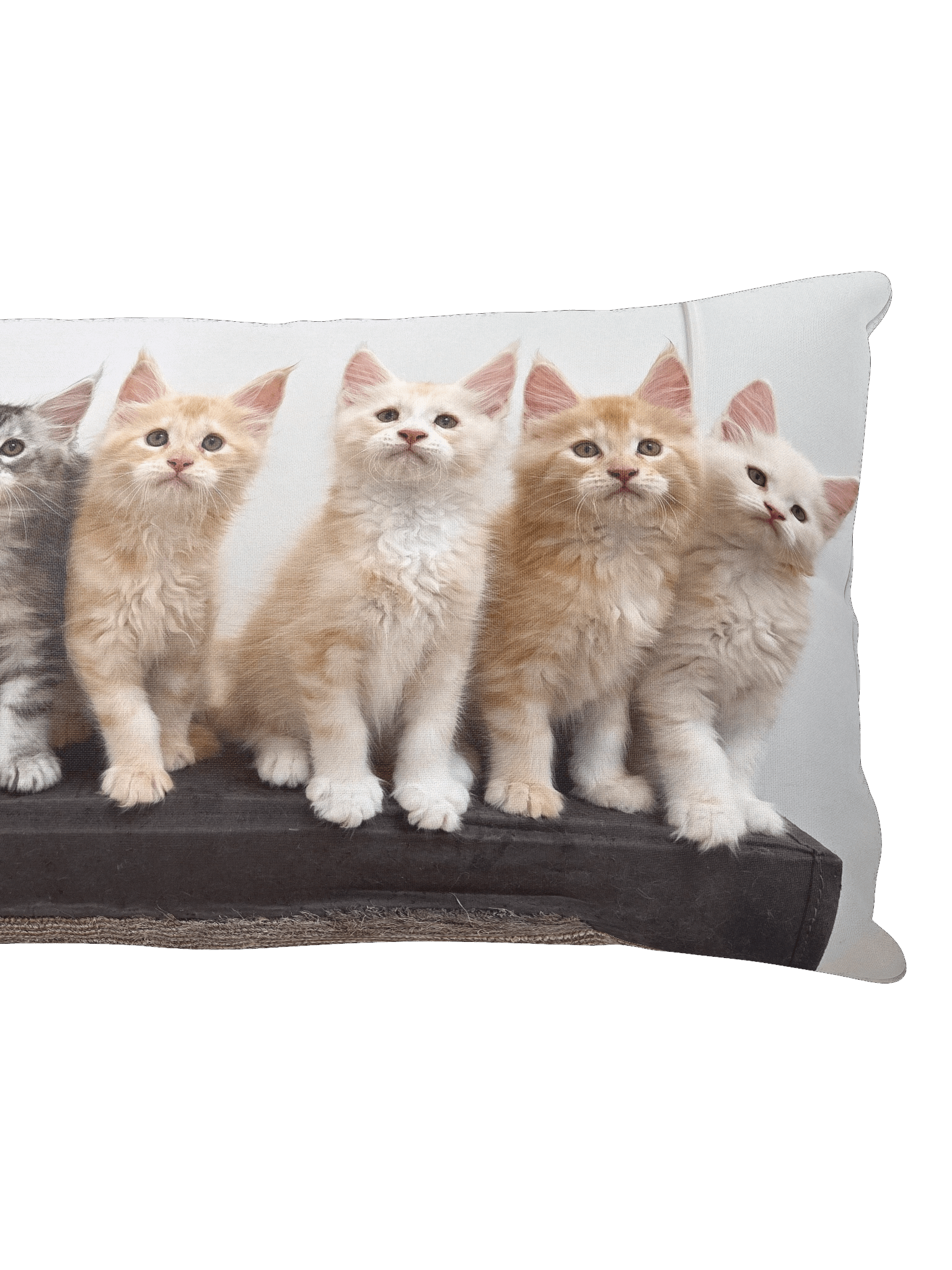 Freya's Kittens - Pillow product image (5)