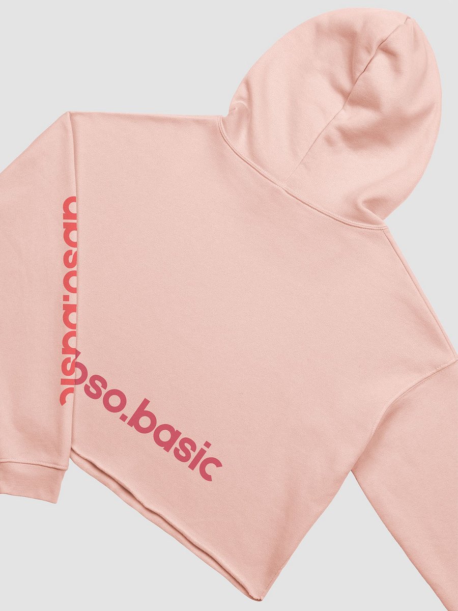 Retro Vibes Illustrated Crop Hoodie product image (24)