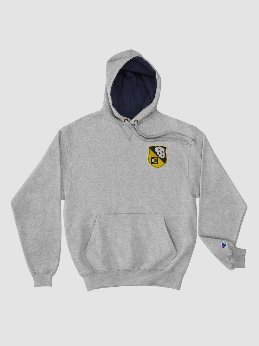 TBB (Embroidered) Another Hoodie product image (4)