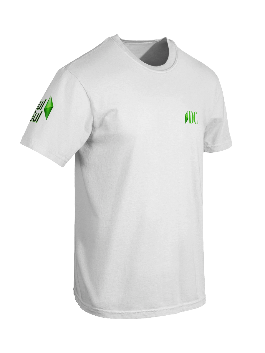 DCSim-A-Thon T-Shirt product image (87)