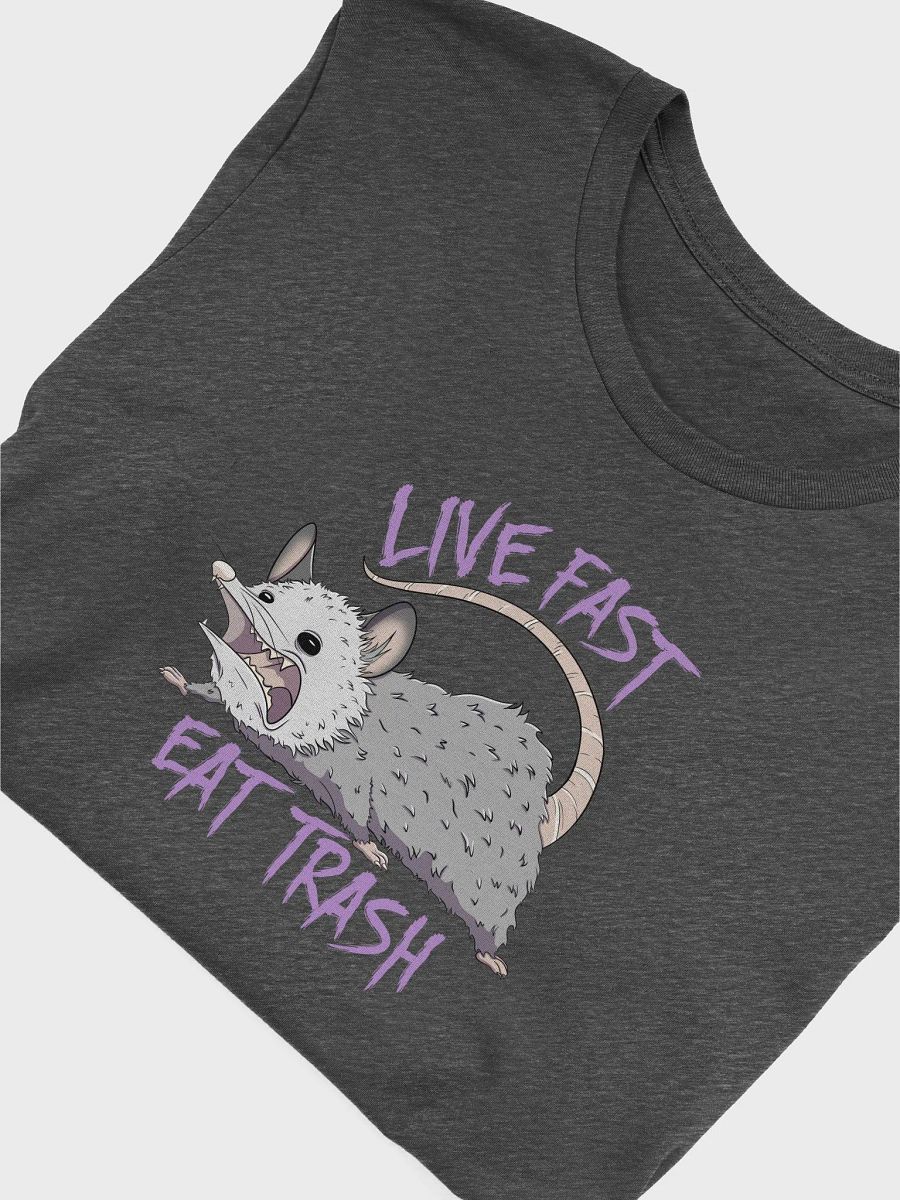 Live Fast Eat Trash Tee product image (48)