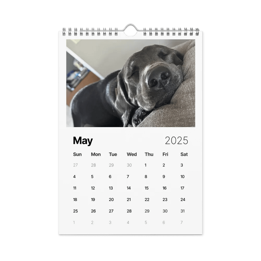 2025 Doggo Calendar product image (10)