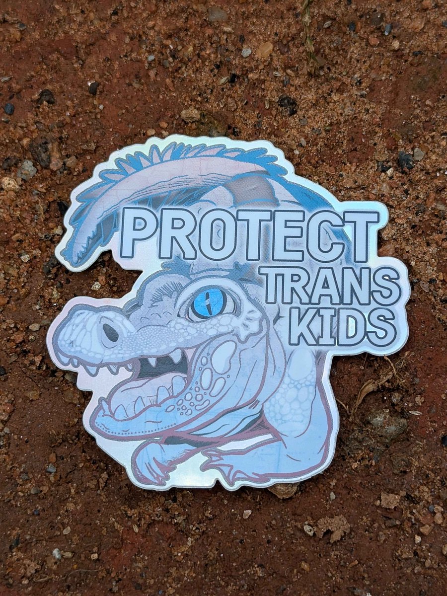 Holographic Protect Trans Kids Alligator 3
