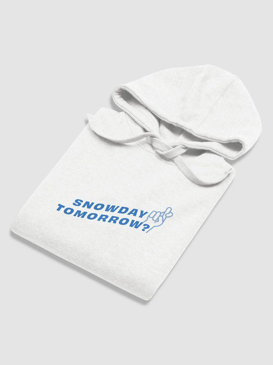 BNW - snowday tomorrow, white, hoodie product image (6)